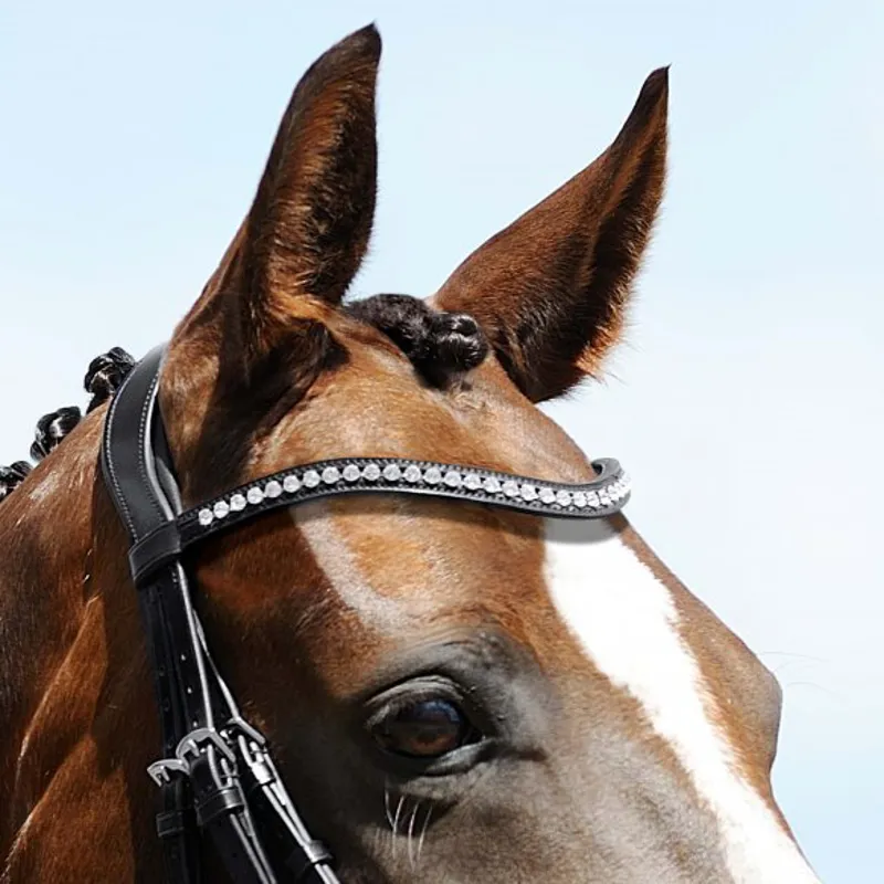 Passier Premium Crystal Waved Browband Clear-1